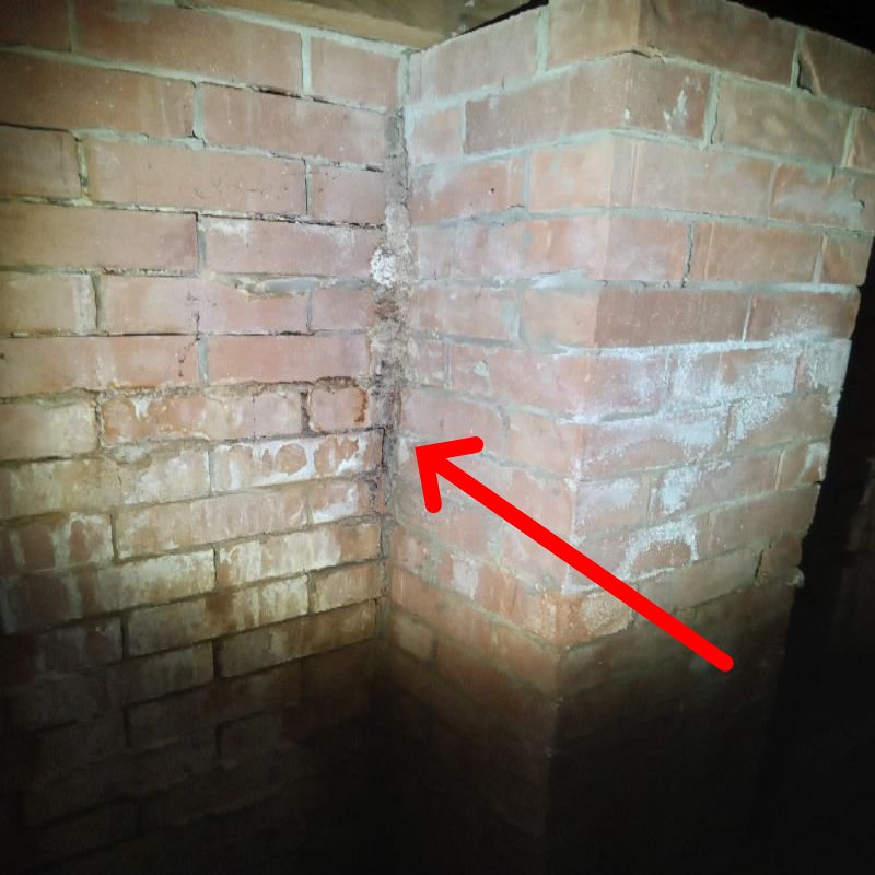 Active Subfloor Termite Mudding Defect Finding